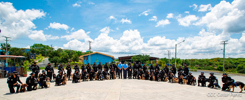 doep-tecnica-canina-curso